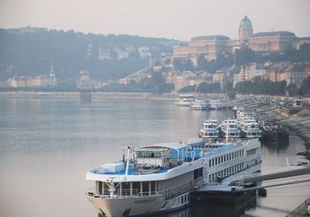 Onriver S Ms Maribelle — фото 2