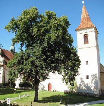 Monastery Garden — фото 3
