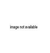 Minerva — фото 5
