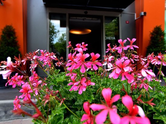Cheya Beşiktaş Hotel