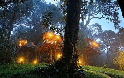 Nature Zone Jungle Resort — фото 4