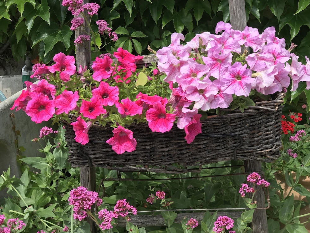 Le Mas Mellou — фото 3