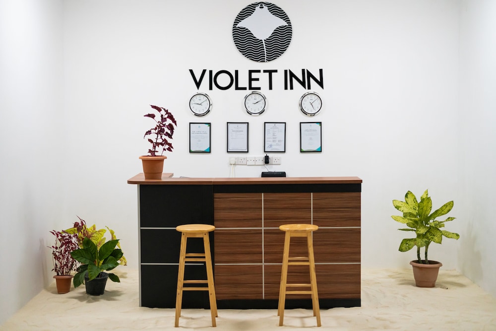 VIOLET INN — фото 4