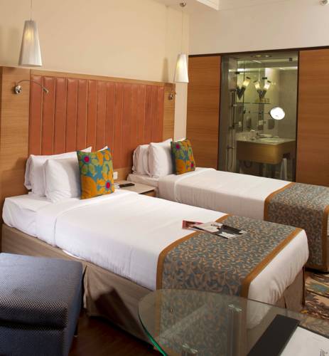 RADISSON BLU HOTEL RANCHI — фото 4