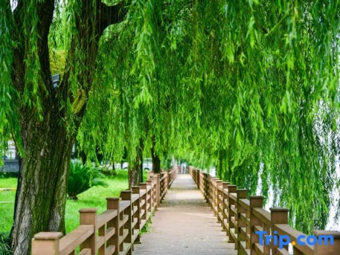 Mingzhu Lake Resort